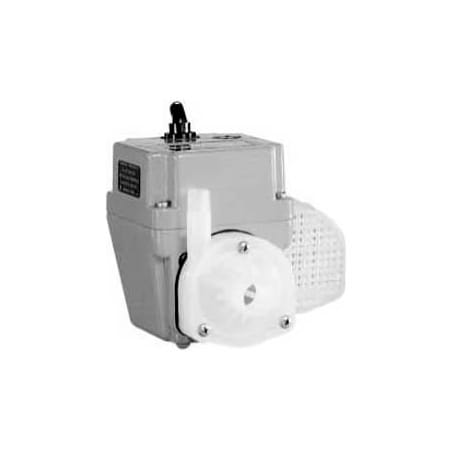 Little Giant Little Giant 502286 2E-38NT Small Submersible Pump - Dual Purpose- 115V- 300 GPH At 1' 502286